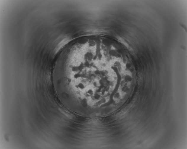 X0000091351259200708311509