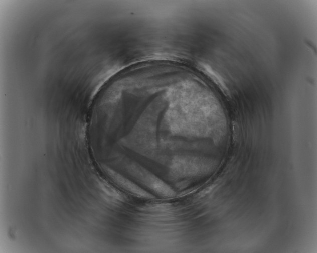 X0000091351260200708311509