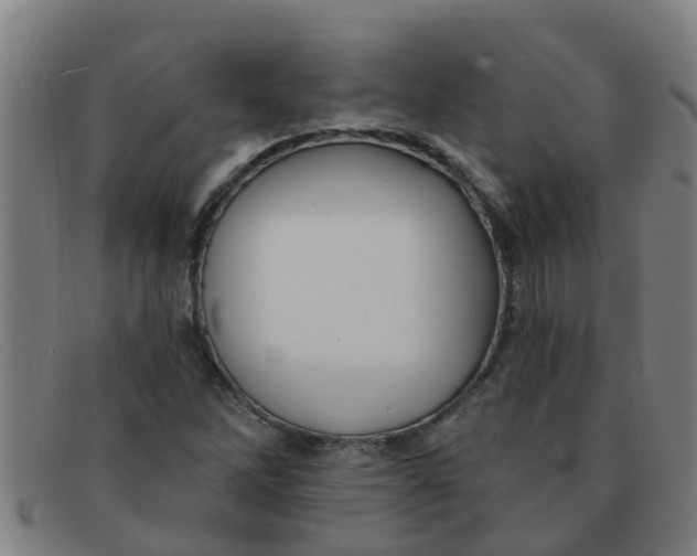 X0000091351262200708311509