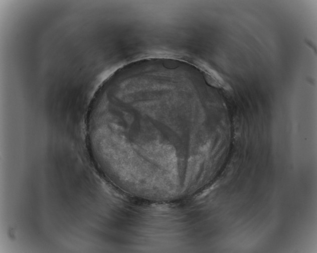 X0000091351264200708311509