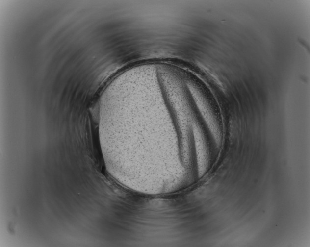X0000091351265200708311509