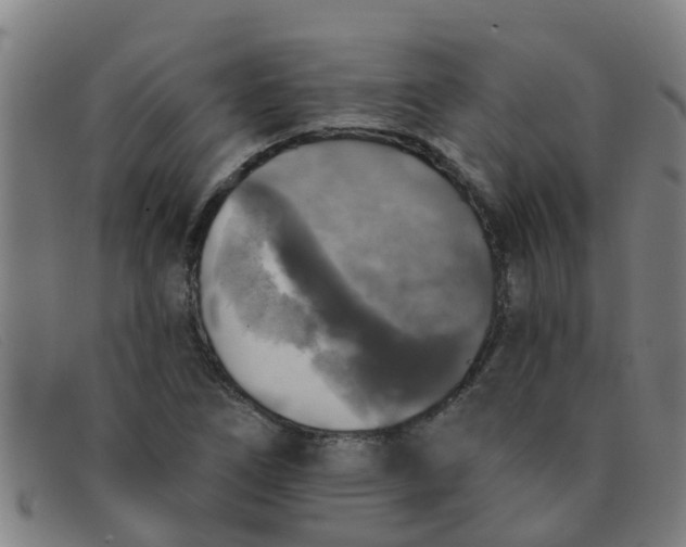X0000091351266200708311509