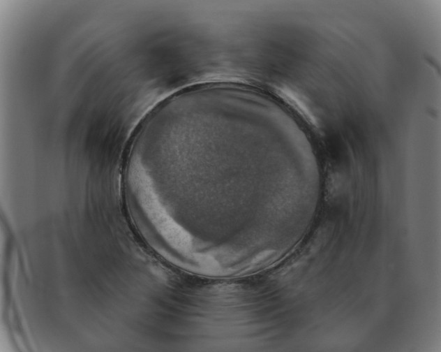 X0000091351268200708311509