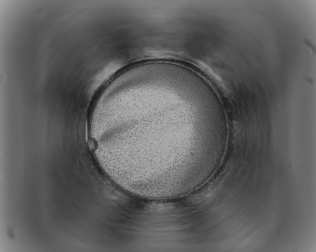 X0000091351269200708311509