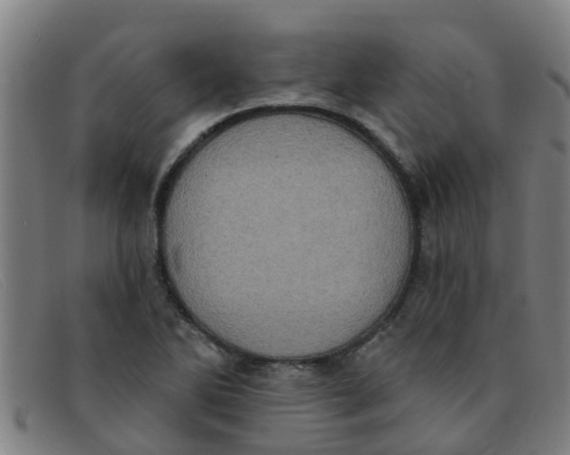 X0000091351270200708311509