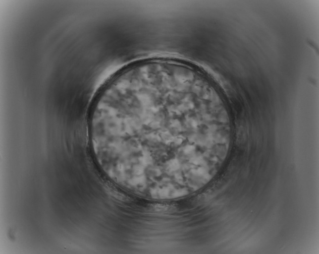 X0000091351271200708311509