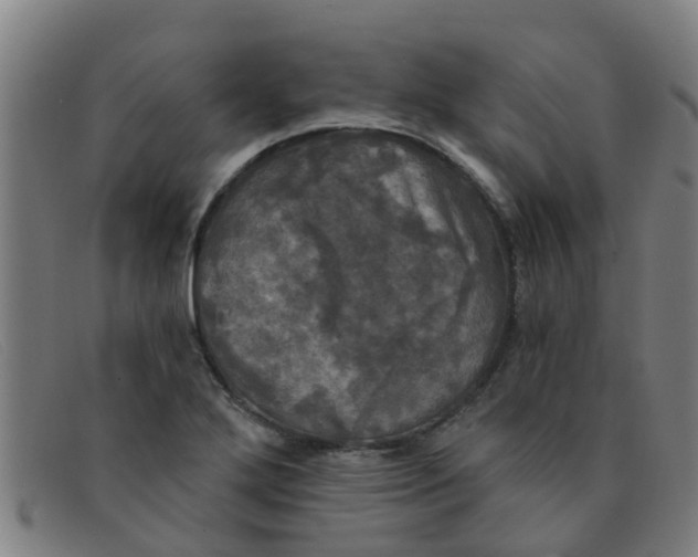 X0000091351272200708311509