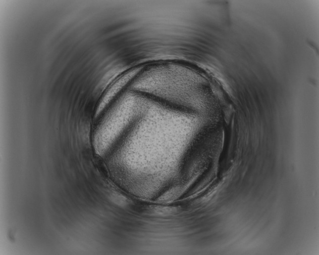 X0000091351273200708311509
