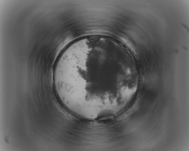 X0000091351275200708311509