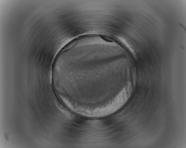 X0000091351276200708311509
