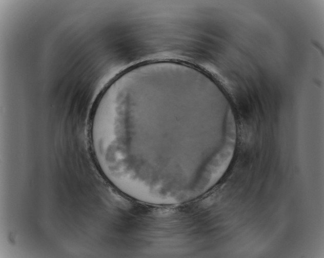 X0000091351278200708311509