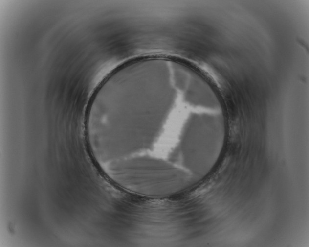 X0000091351279200708311509