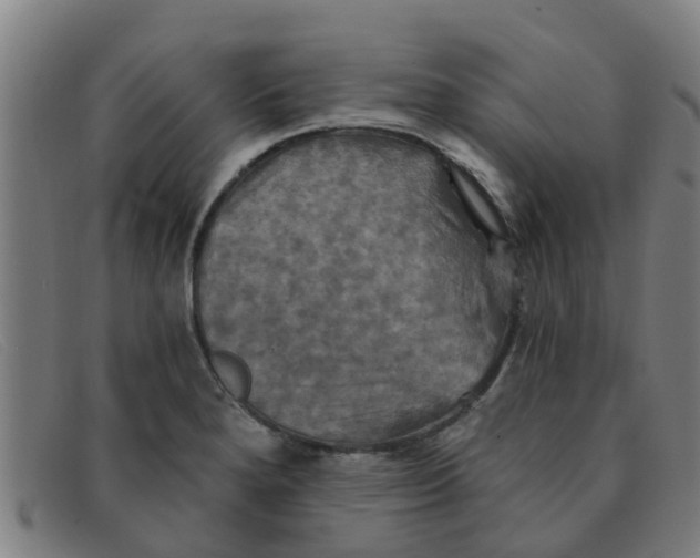 X0000091351280200708311509
