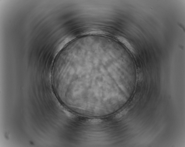X0000091351282200708311509