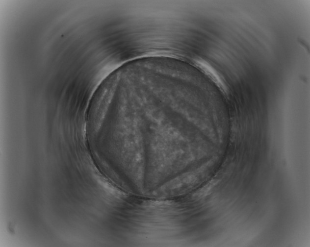 X0000091351284200708311509