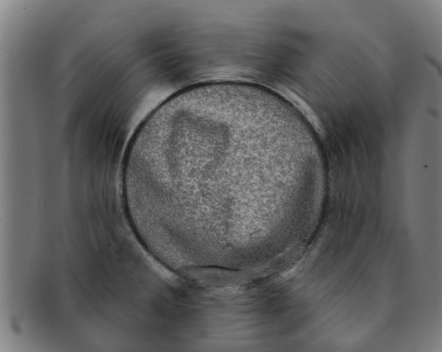 X0000091351285200708311509