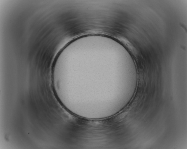 X0000091351286200708311509