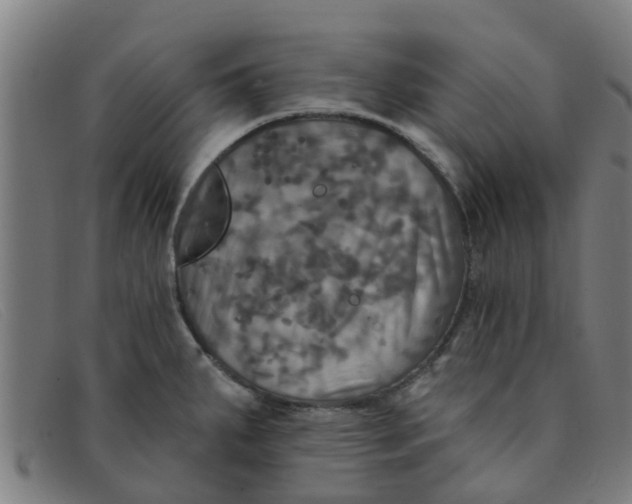 X0000091351287200708311509