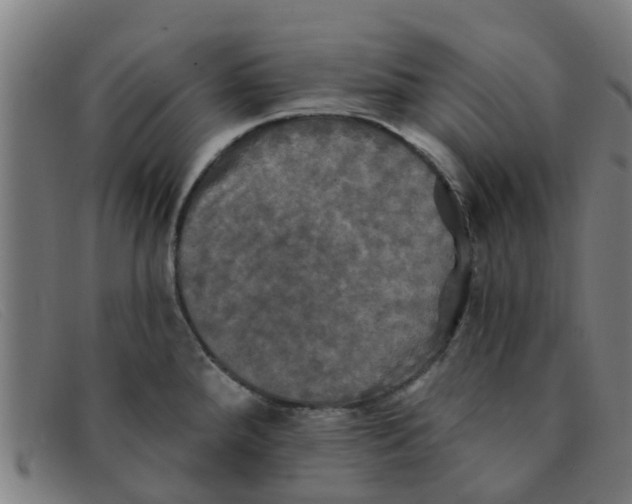 X0000091351288200708311509