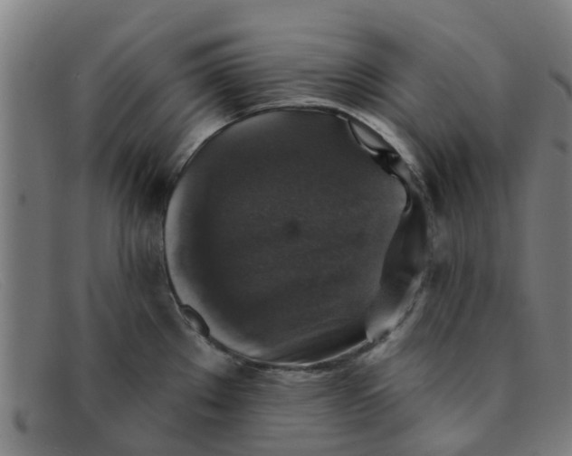 X0000091351289200708311509