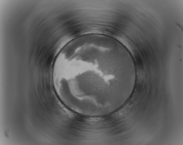 X0000091351290200708311509