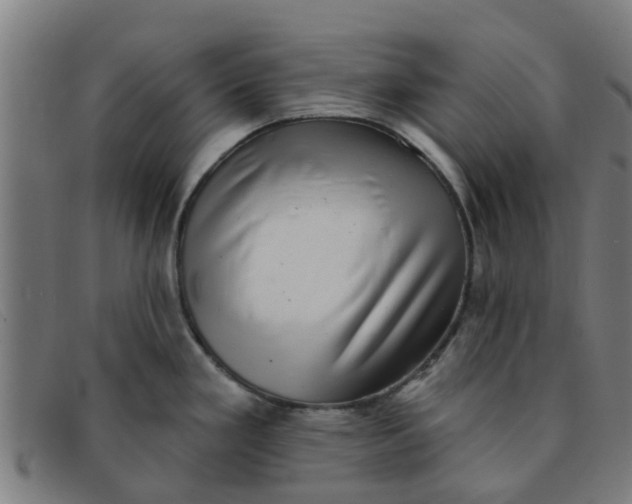 X0000091351293200708311509