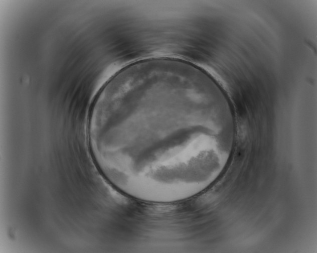 X0000091351294200708311509