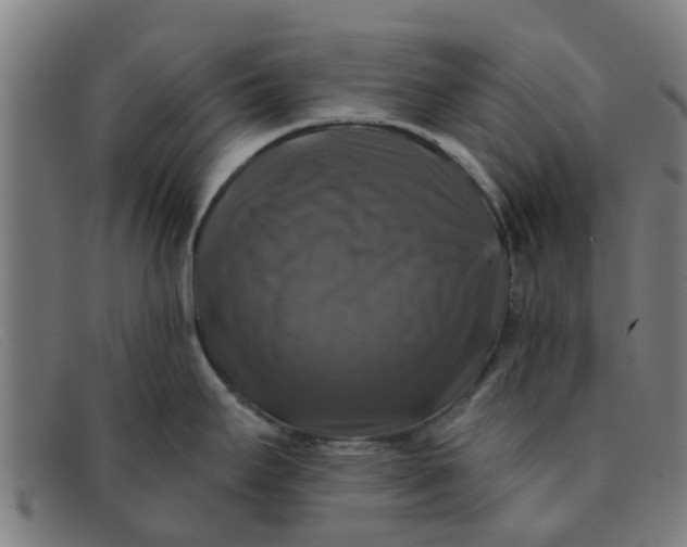 X0000091351295200708311509