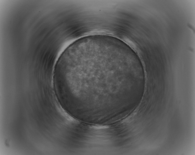 X0000091351296200708311508