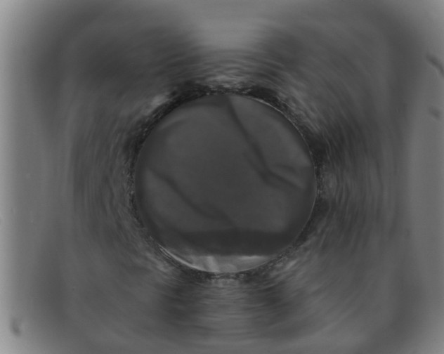 X0000091351297200708311508