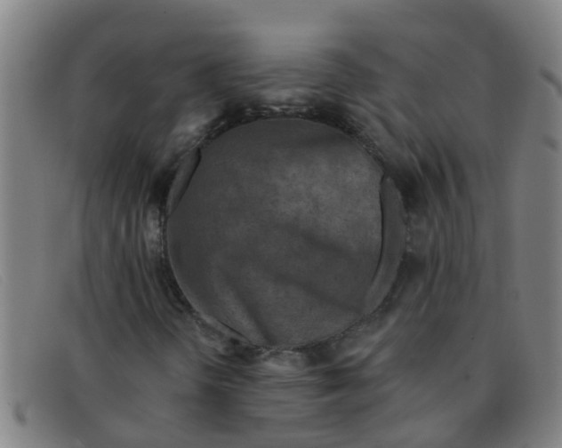 X0000091351298200708311508