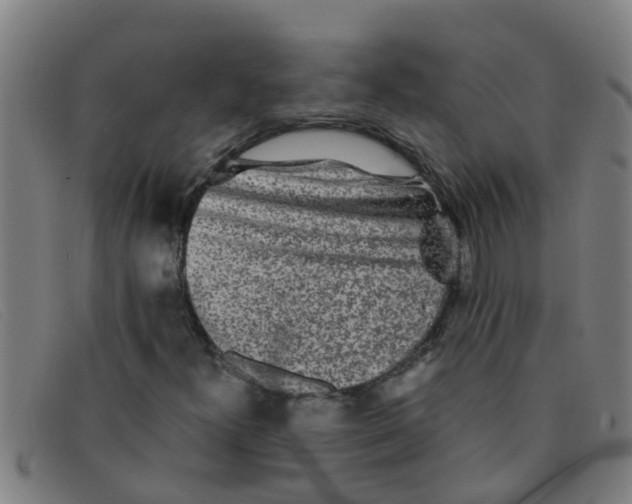X0000091351300200708311508