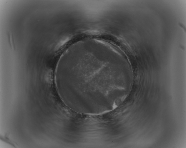 X0000091351301200708311508
