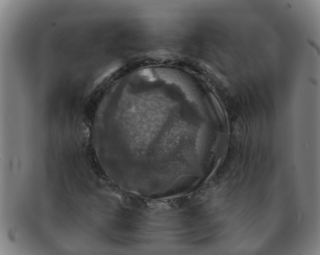 X0000091351302200708311508