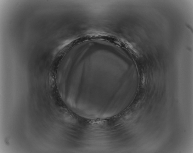 X0000091351303200708311508