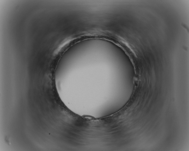 X0000091351304200708311508
