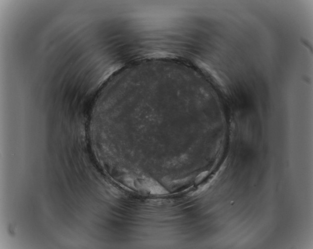 X0000091351305200708311508