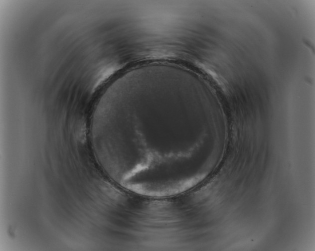 X0000091351306200708311508