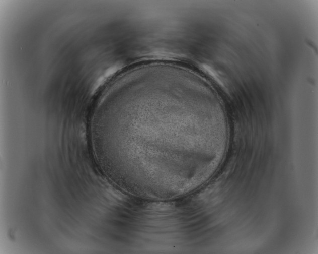 X0000091351307200708311508
