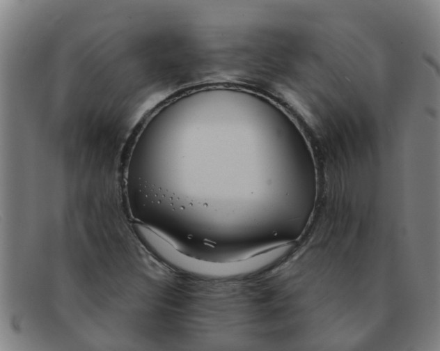 X0000091351308200708311508