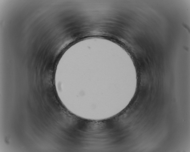 X0000091351314200708311508