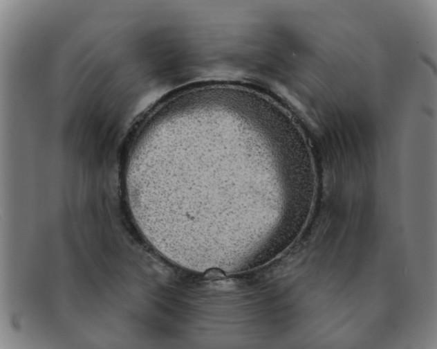 X0000091351315200708311508