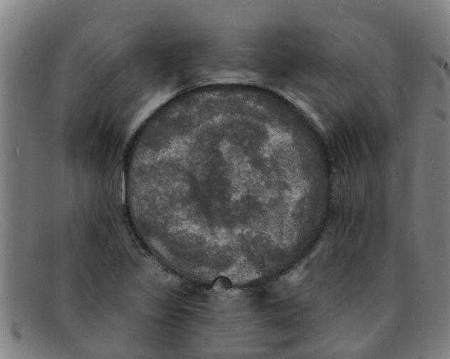 X0000091351317200708311508