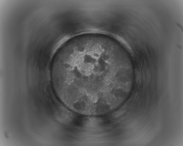 X0000091351318200708311508