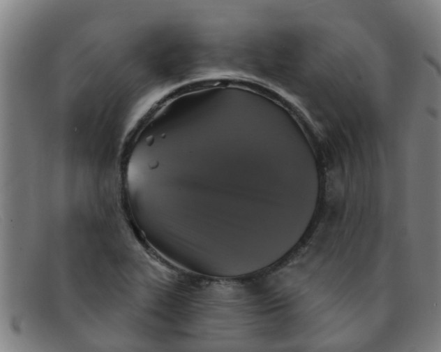 X0000091351319200708311508