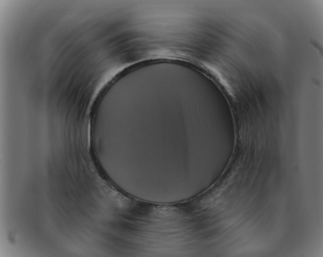 X0000091351323200708311508