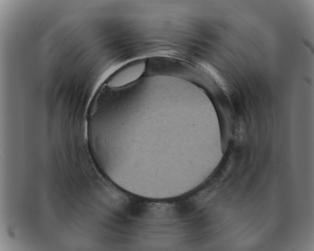 X0000091351324200708311508