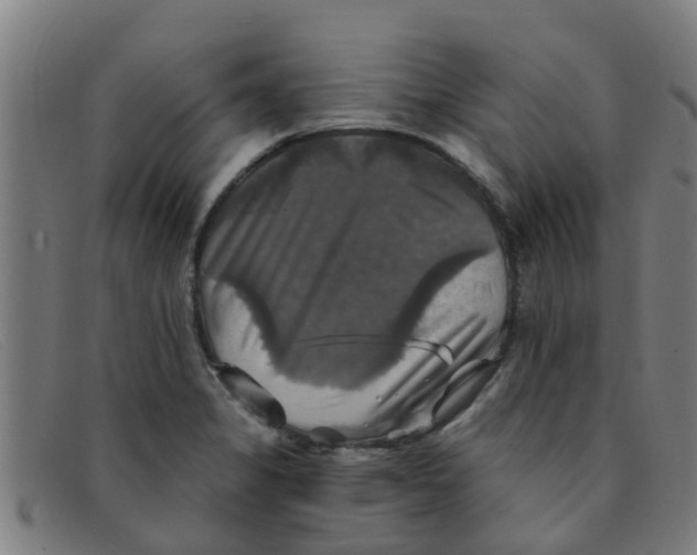 X0000091351325200708311508