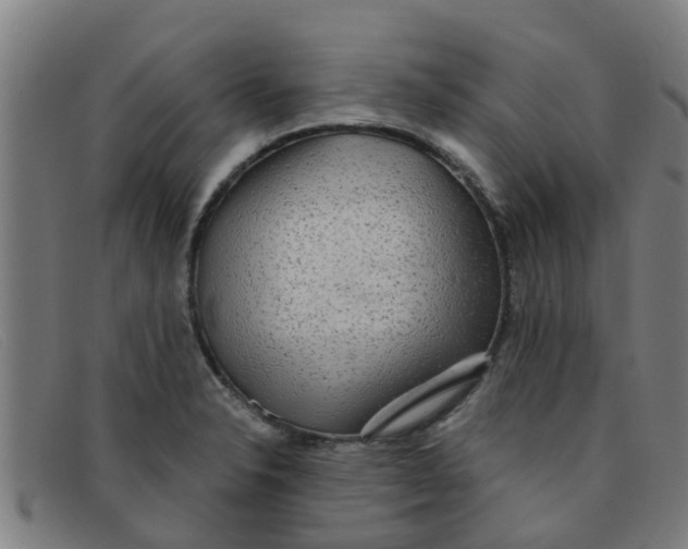 X0000091351326200708311508
