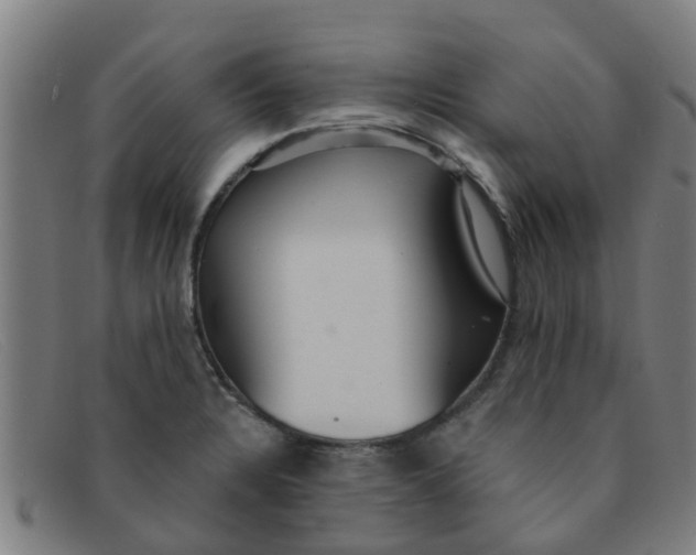 X0000091351328200708311508